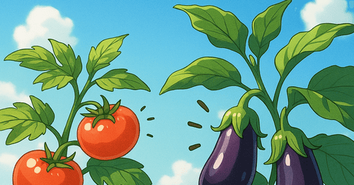 トマトとナスの畑づくり | 夜の数学⑥ 【SUUNA 大人のための数学ジム】